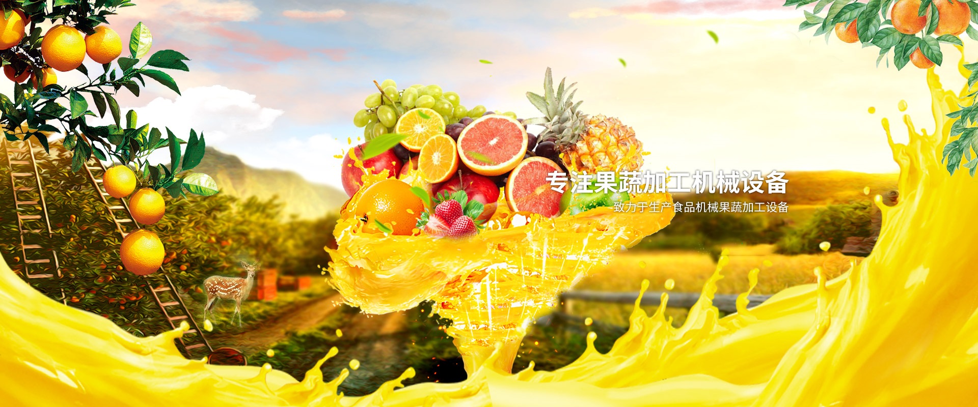 食品级材质  商用性质工业寿命